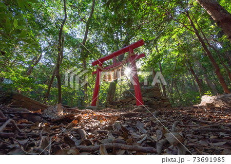 対馬の風景 73691985