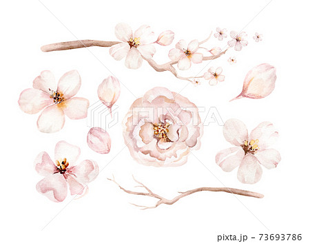 Watercolor boho blossom flower set. Spring or summer decoration floral bohemian design. Watercolour isolated. foliage illustration with cherry, green leaf, feather. Botanical aquarelle 73693786