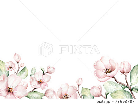 Watercolor boho blossom flower background. Spring or summer decoration floral bohemian design frame. Watercolour isolated. foliage illustration with cherry, green leaf, feather. 73693787