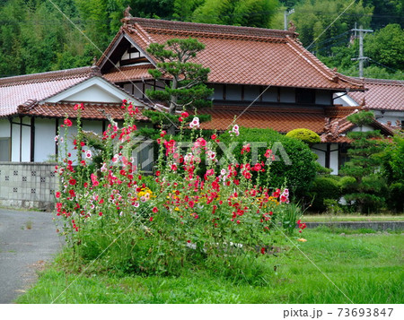 東広島 西条盆地の田園風景　赤瓦の民家のある風景 73693847