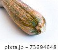 鶴首かぼちゃ（鶴首南瓜・ツルクビカボチャ）の ヘタ側のアップ 73694648