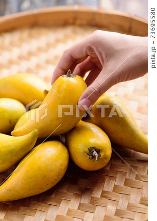 Eggfruit or canistel on bamboo tray holding by hand 73695580