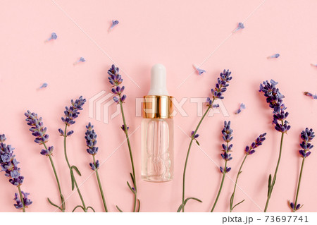 Lavender essential oil with flowers on pink background. Flat lay, top view. Minimal concept. 73697741