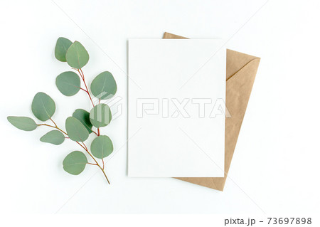 Mockup invitation, blank greeting card and green leaves eucalyptus. Flat lay, top view. 73697898
