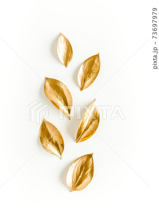 Pattern, texture with gold leaves isolated on white background. flat lay, top view 73697979
