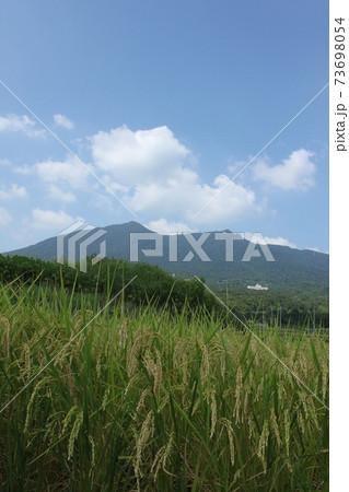 秋の稲穂と筑波山 秋の稲穂と筑波山 73698054
