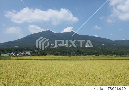 秋の田と筑波山 秋の田と筑波山 73698090