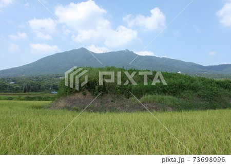 秋の田と筑波山 秋の田と筑波山 73698096