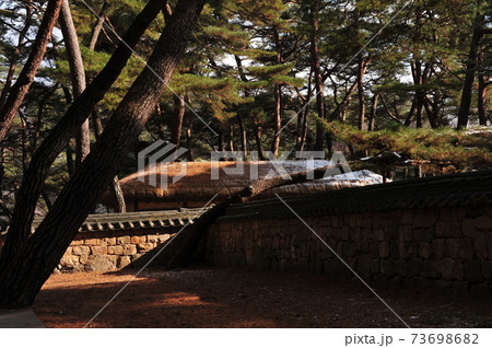 春 桜 スポット 73698682