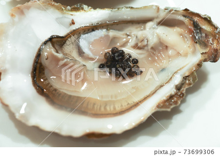 Black sturgeon caviar with oyster on the white plate Black sturgeon caviar with oyster on the white plate 73699306