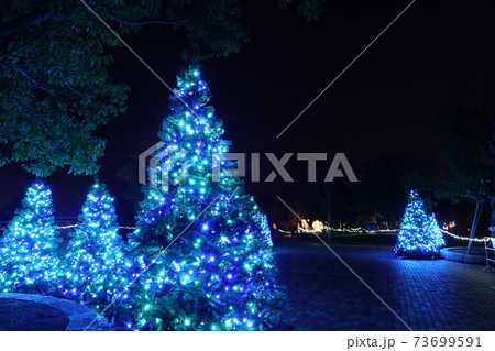 クリスマスツリー 73699591