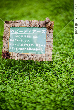 ベビーティアーズ 73699657