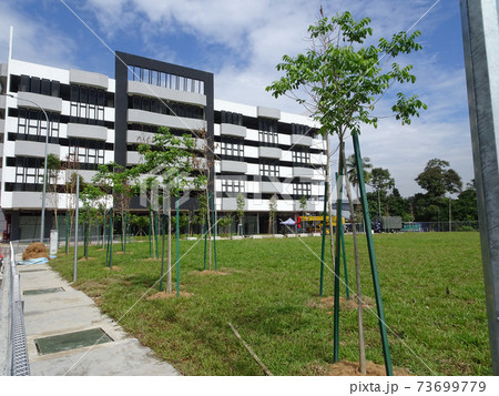 SEREMBAN, MALAYSIA -MARCH 5, 2020: Landscape work. New trees are planted and supported with support tools such as wood to prevent it from falling. This tool will be removed later. SEREMBAN, MALAYSIA -MARCH 5, 2020: Landscape work. New trees are planted and supported with support tools such as wood to prevent it from falling. This tool will be removed later. 73699779