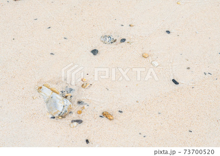 White sand beach in khang khao island, Ranong, Thailand in cloudy day. 73700520