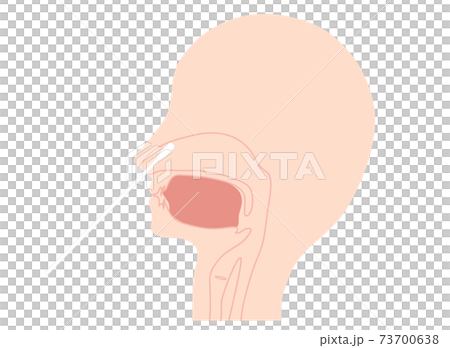 鼻腔ぬぐい液　検体採取図 73700638