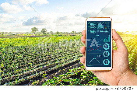 Phone with infographics on the background of a farm field plantation. Innovative technologies in the agroindustry and food production. Process of crop maturation, moisture and soil nutrition. 73700707