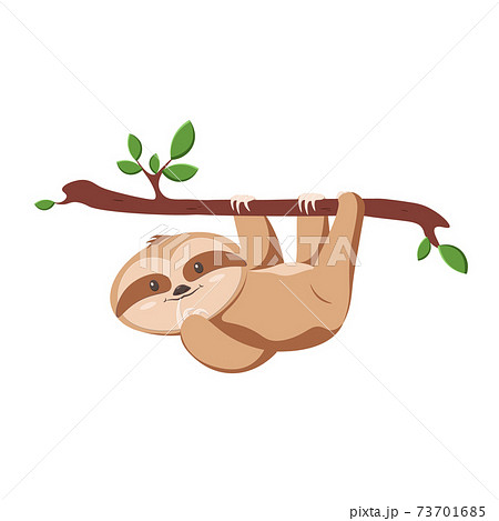 Lazy sloth cartoon 73701685