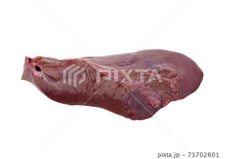 Raw Pork Liver isolated on white background with clipping path. 73702601