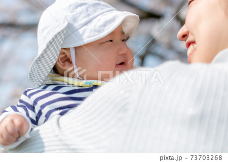 家族写真　桜　花見 73703268