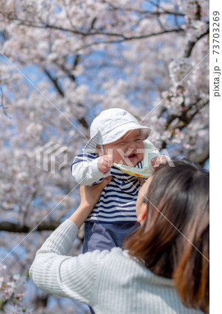 家族写真　桜　花見 73703269