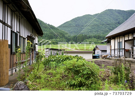 田舎の家庭菜園 田舎の家庭菜園 73703729