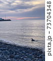 A bird flying over a body of water 73704348