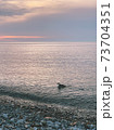 A bird flying over a body of water 73704351