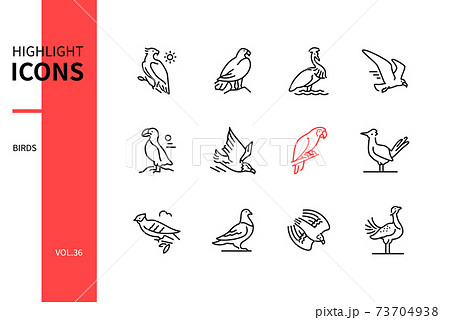Bird species - modern line design style icons set 73704938