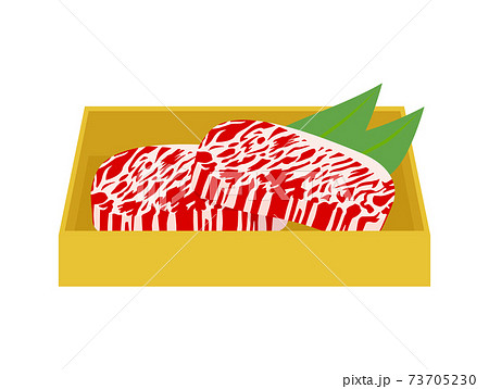 牛肉 生肉のイラストのイラスト素材