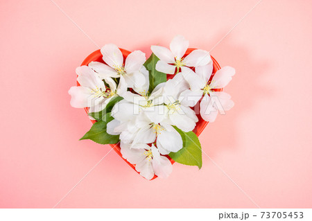 Red plate in heart shape with blooming white apple tree twigs on pink background. Mother's day, Valentine's Day, Birthday greeting card. Top view. Close up. Horizontal orientation. Red plate in heart shape with blooming white apple tree twigs on pink background. Mother's day, Valentine's Day, Birthday greeting card. Top view. Close up. Horizontal orientation. 73705453