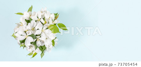 Banner with bouquet of blooming white apple tree twigs on light blue background. Festive Mother's day, Valentine's Day, Birthday congratulations floral concept. Greeting card. Top view. Copy space. Banner with bouquet of blooming white apple tree twigs on light blue background. Festive Mother's day, Valentine's Day, Birthday congratulations floral concept. Greeting card. Top view. Copy space. 73705454