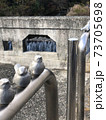 鳥もひとやすみ 73705698