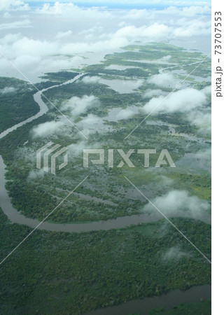 上空から見たアマゾン河　ブラジル 73707553