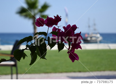 A cozy cafe with beautiful views of the blue sea and the sailing ship in a pirate style. 73708175