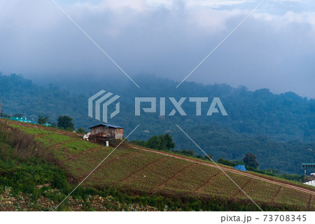 Farmer's hut on the hill with fog over the hill background 73708345
