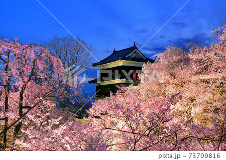 上田城の夜桜 上田城の夜桜 73709816