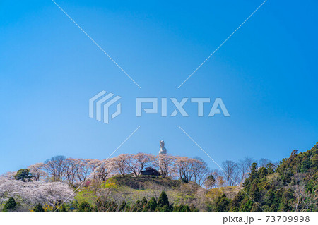 船岡城址公園の船岡平和観音と桜 【宮城県】 船岡城址公園の船岡平和観音と桜 【宮城県】 73709998