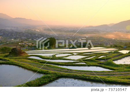 春の姨捨の棚田 73710547