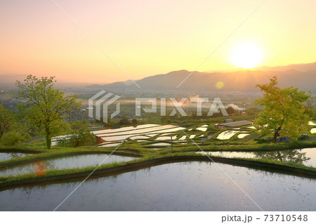 春の姨捨の棚田 春の姨捨の棚田 73710548