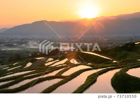 春の姨捨の棚田 73710550