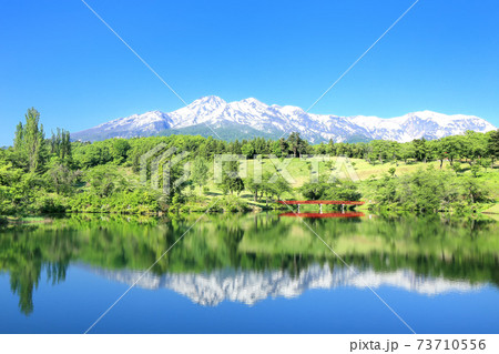 松ヶ峯池の新緑と残雪の妙高山 73710556