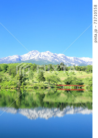 松ヶ峯池の新緑と残雪の妙高山 松ヶ峯池の新緑と残雪の妙高山 73710558