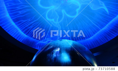 クラゲのサイバーオブジェ クラゲのサイバーオブジェ 73710588