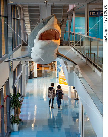 世界最大の水族館 海遊館の写真素材