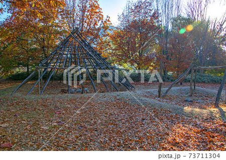矢瀬親水公園　矢瀬遺跡　　早朝の風景　秋の景色　　　 73711304