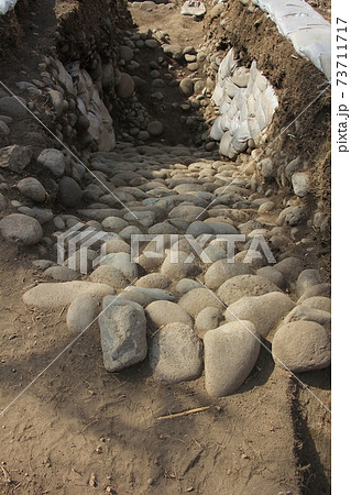 愛宕山古墳の発掘調査（群馬県前橋市） 73711717