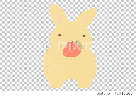 小兔子嘴裡拿著草莓 小兔子嘴裡拿著草莓 73712166