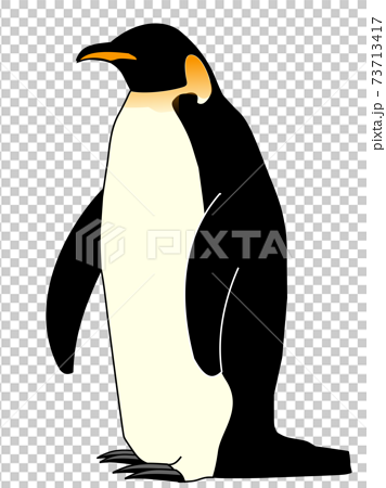 動物ペンギンのイラスト素材