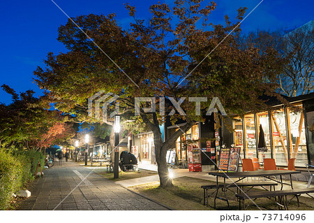 金シャチ横丁　宗春ゾーン  秋　夜景 73714096