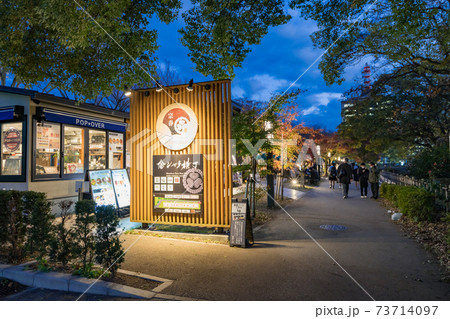 金シャチ横丁 宗春ゾーン 秋 夜景 金シャチ横丁 宗春ゾーン 秋 夜景 73714097